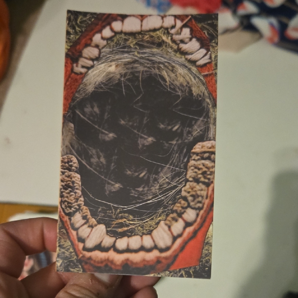 Deck of the Odd Tarot and Guidebook - Picture 6 of 6